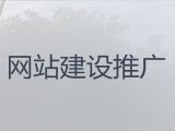 成都市专业网站设计制作&AI数字人制作短视频，企业解决方案
