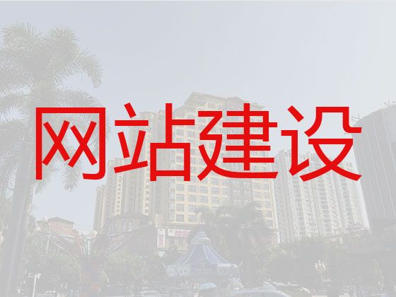 眉山市网站设计开发&AI数字人直播带货，定制开发